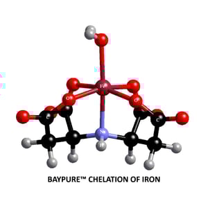 Baypure Blog Image 1-01